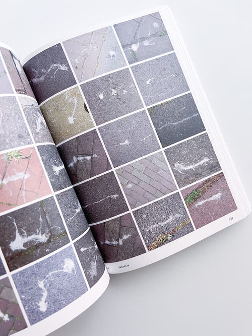 Ornithology (new edition) / Anne Geene & Arjan De Nooy