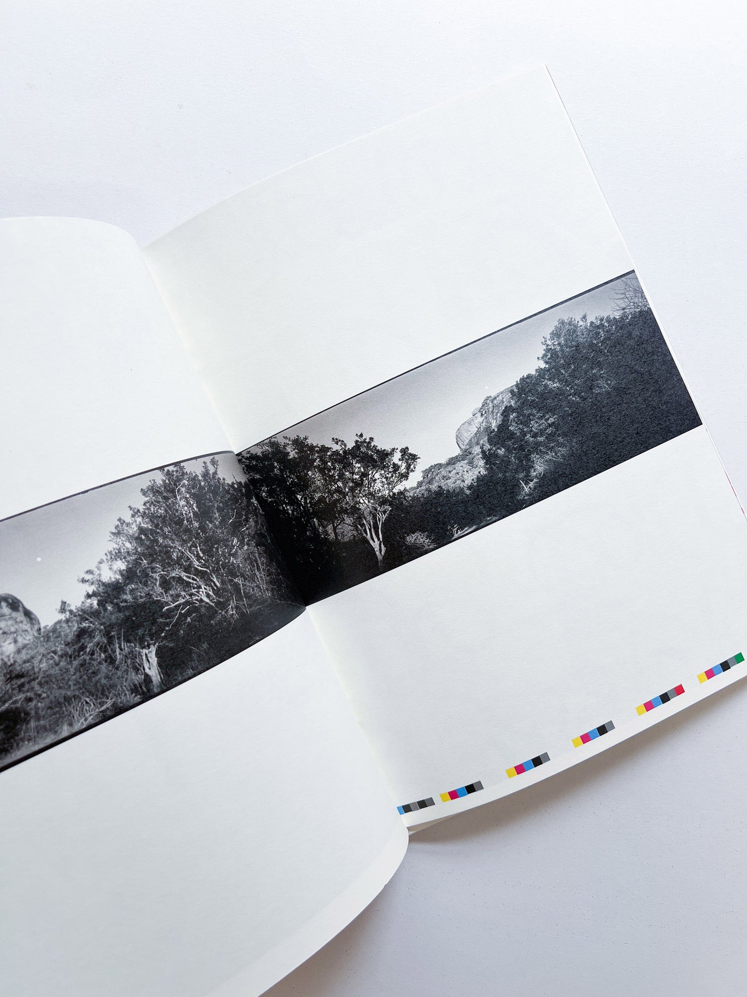 WERK No.34: DOORNBERG GALLE 1712 SRI LANKA [SIGNED]