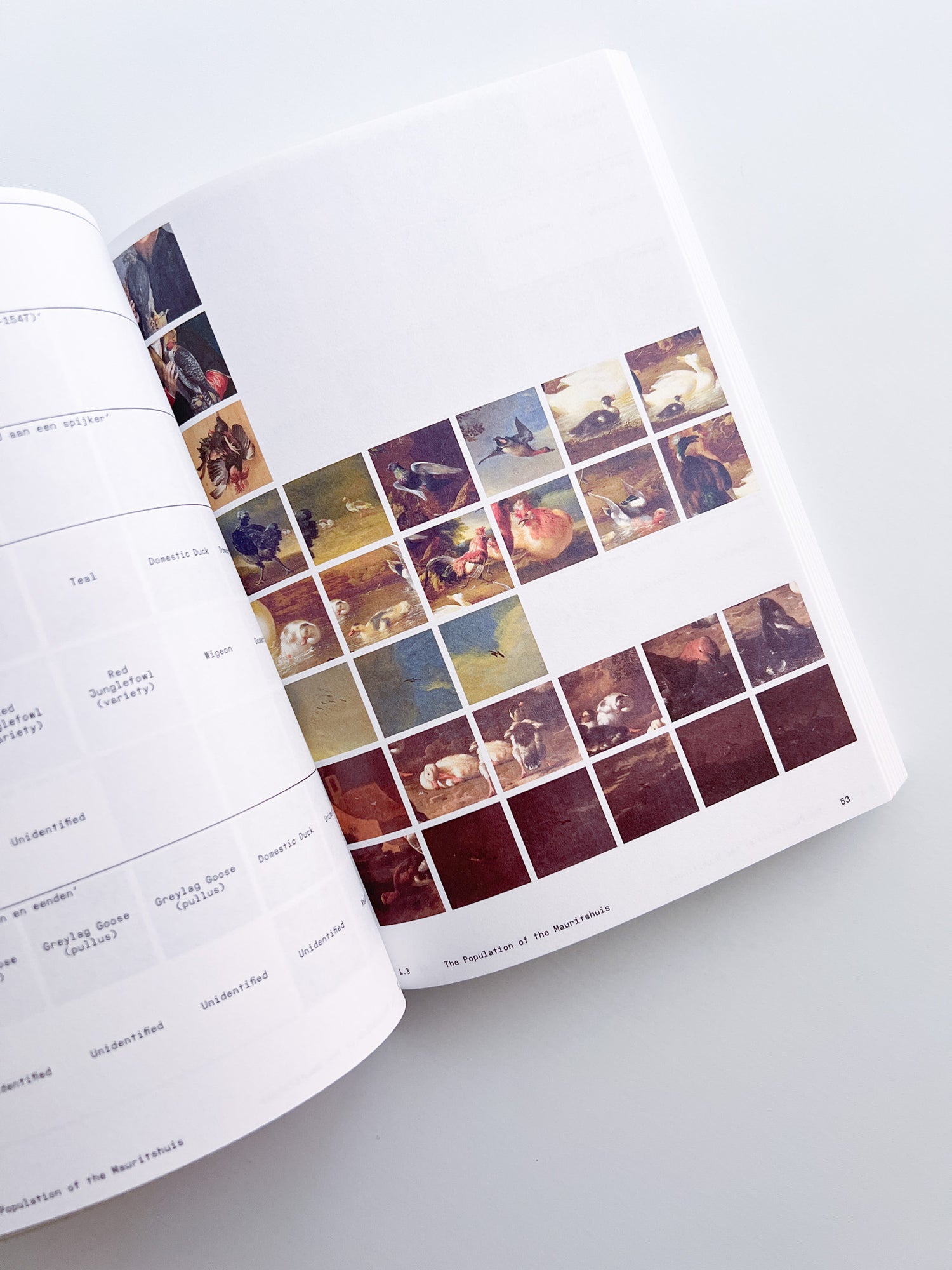 Ornithology (new edition) / Anne Geene & Arjan De Nooy