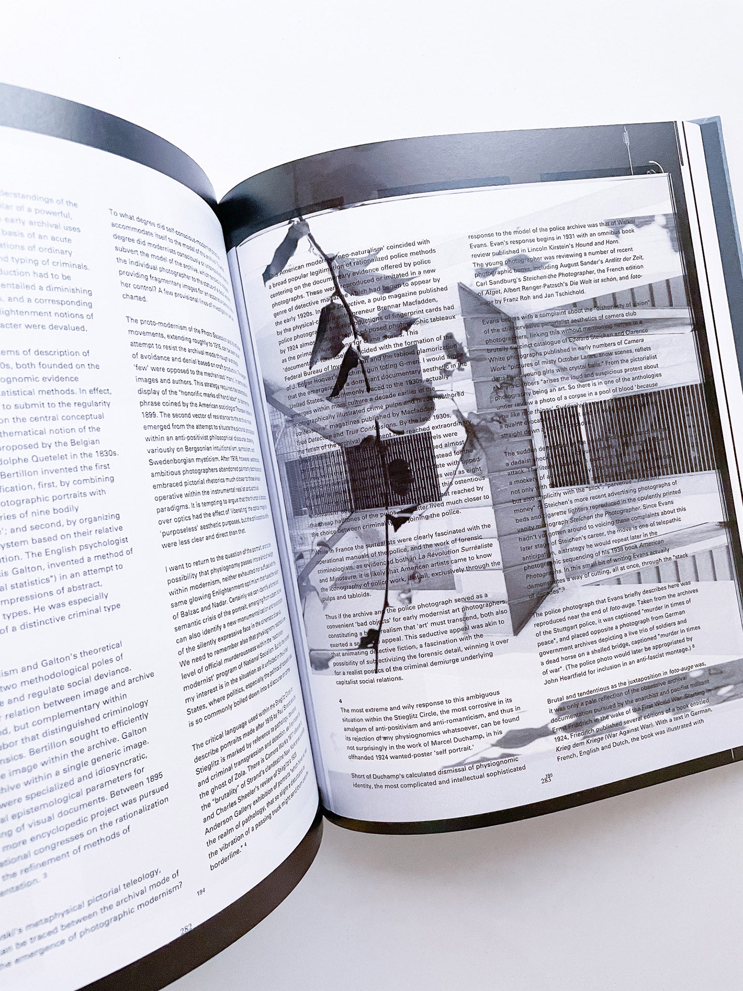 DISTRIBUTION / Daniel Shea [SIGNED]