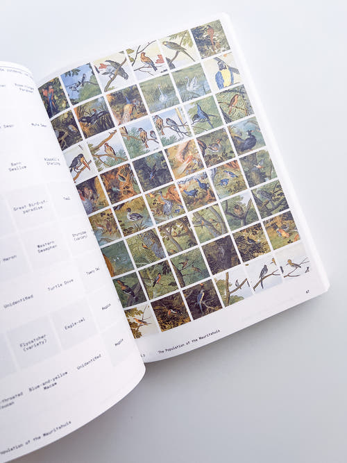 Ornithology (new edition) / Anne Geene & Arjan De Nooy