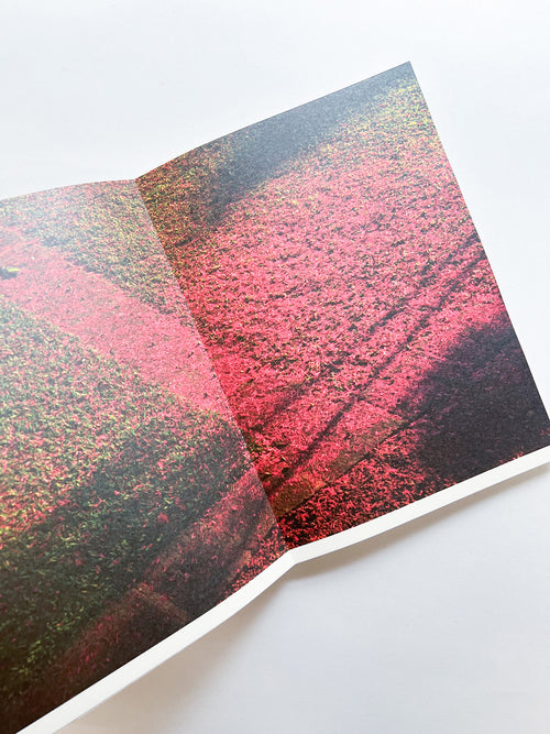 WERK No.34: DOORNBERG GALLE 1712 SRI LANKA [SIGNED]