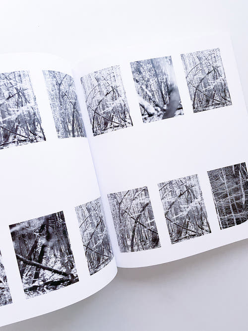 DISTRIBUTION / Daniel Shea [SIGNED]