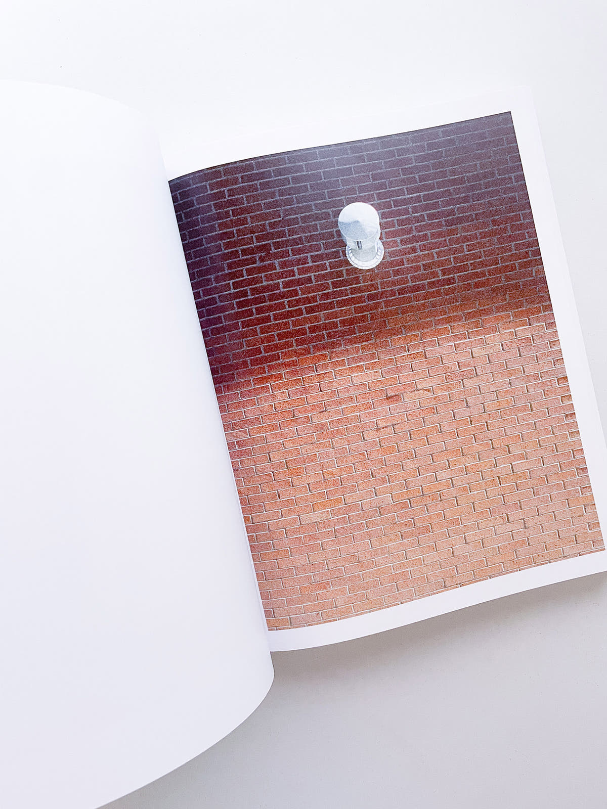 DISTRIBUTION / Daniel Shea [SIGNED]