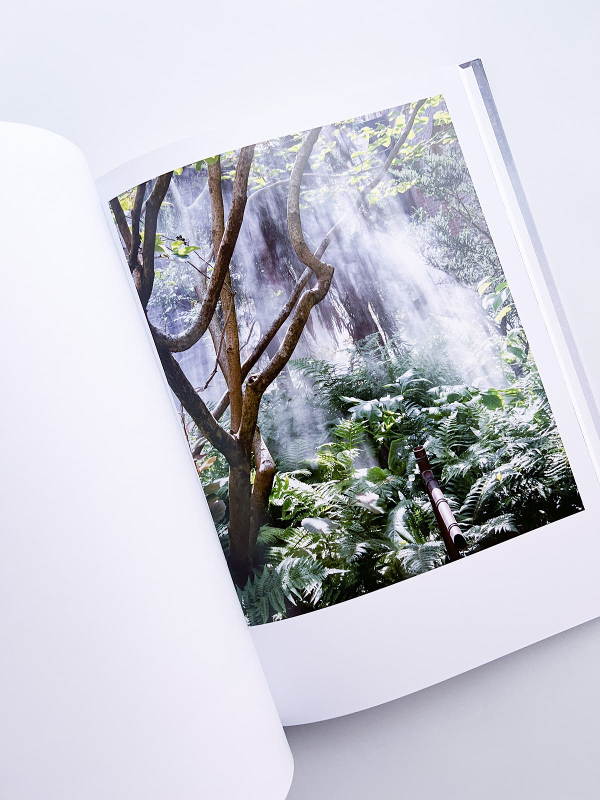 Cura's Garden / Ben Thorp Brown