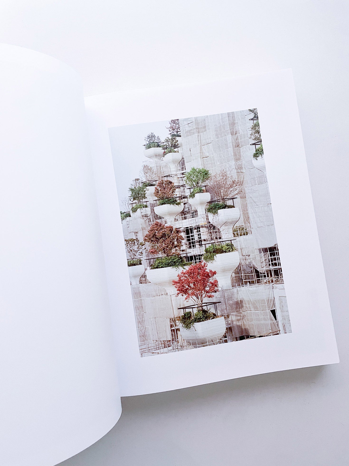 DISTRIBUTION / Daniel Shea [SIGNED]