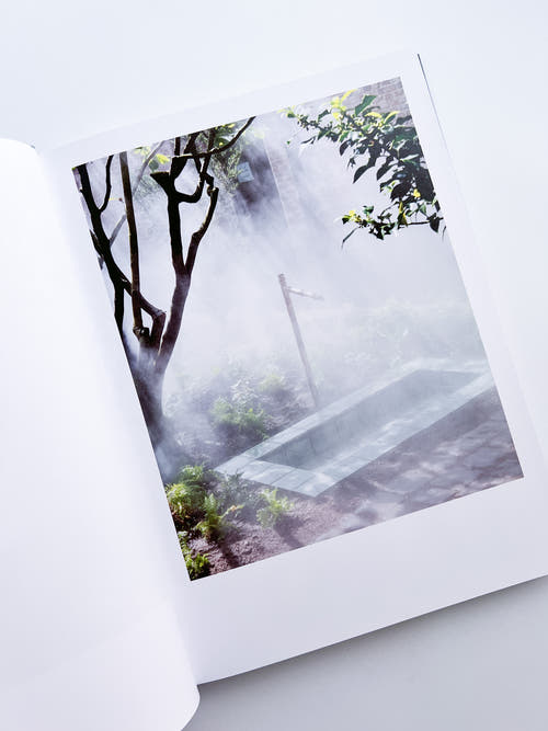Cura's Garden / Ben Thorp Brown