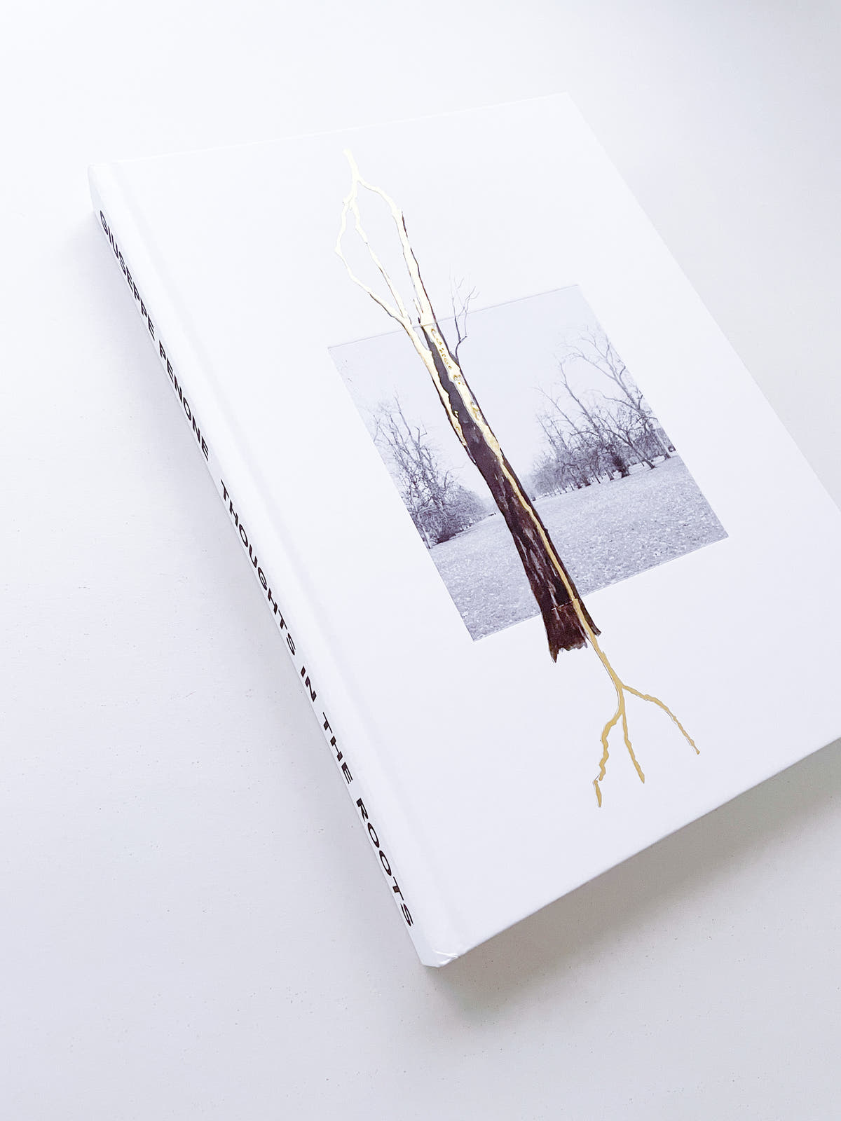 THOUGHTS IN THE ROOTS / Giuseppe Penone
