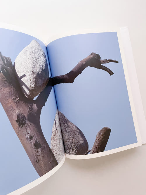 THOUGHTS IN THE ROOTS / Giuseppe Penone