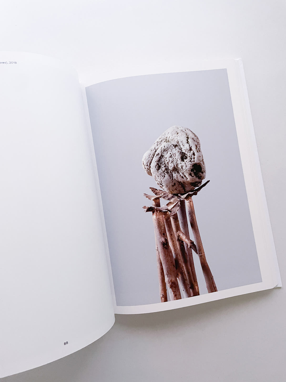 THOUGHTS IN THE ROOTS / Giuseppe Penone