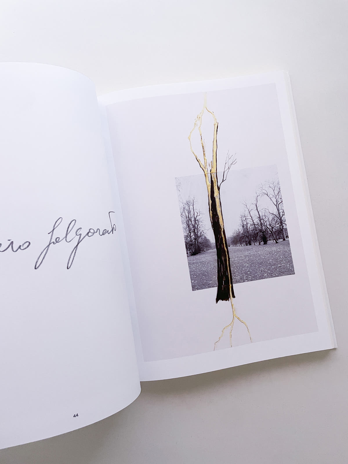 THOUGHTS IN THE ROOTS / Giuseppe Penone