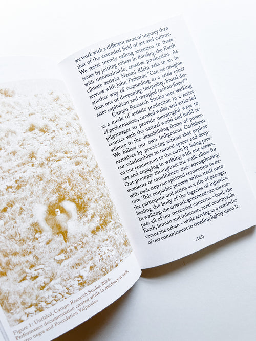 Walking as Research Practice