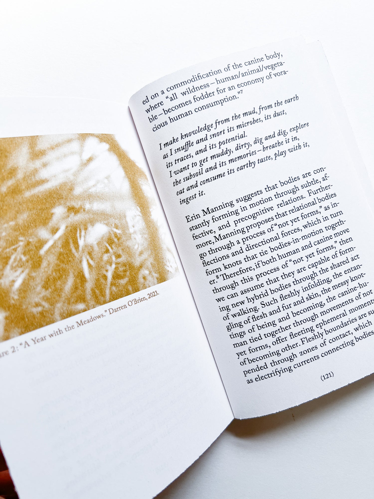 Walking as Research Practice