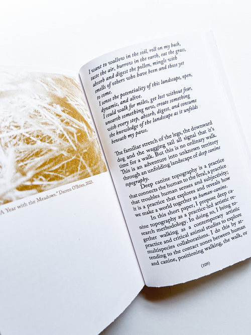 Walking as Research Practice