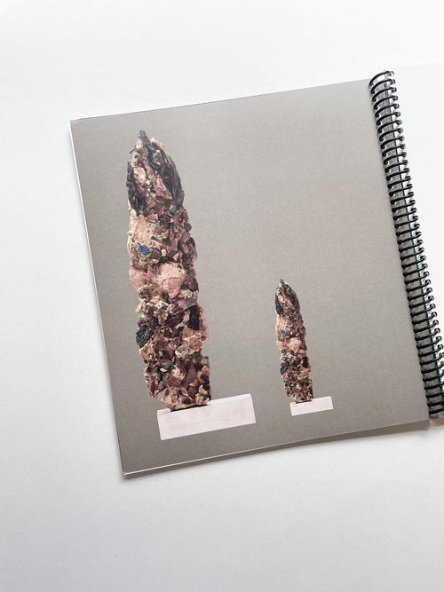 One Language Traveller / FOS