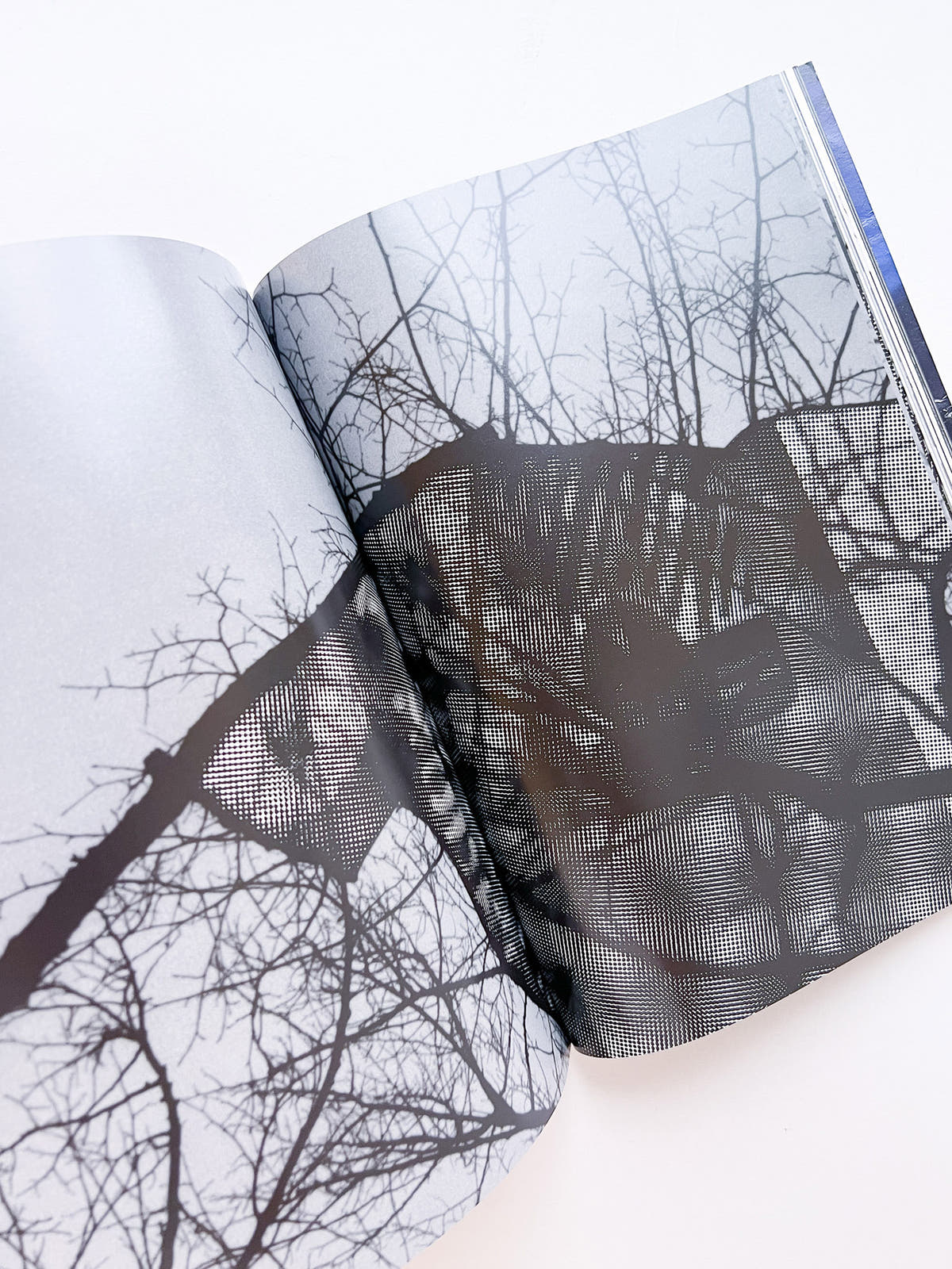 WERK No.9: Three-Stories in collaboration with adidas Originals (2004)