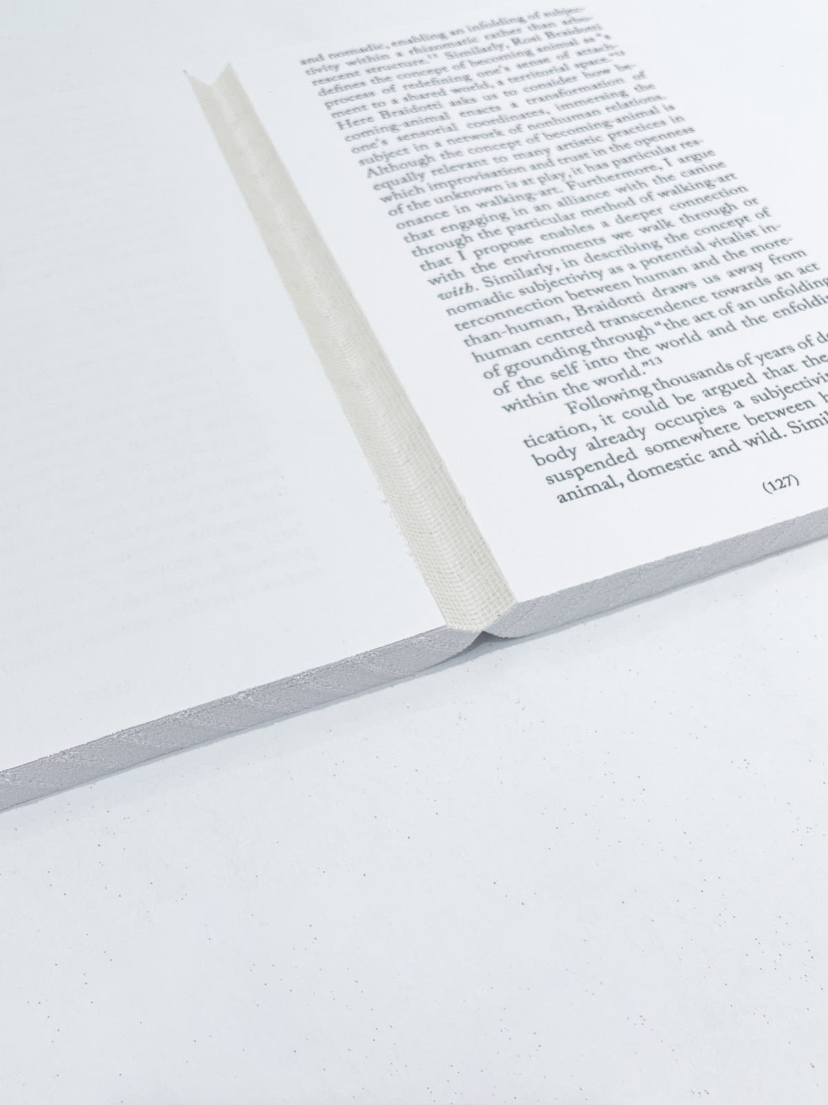 Walking as Research Practice