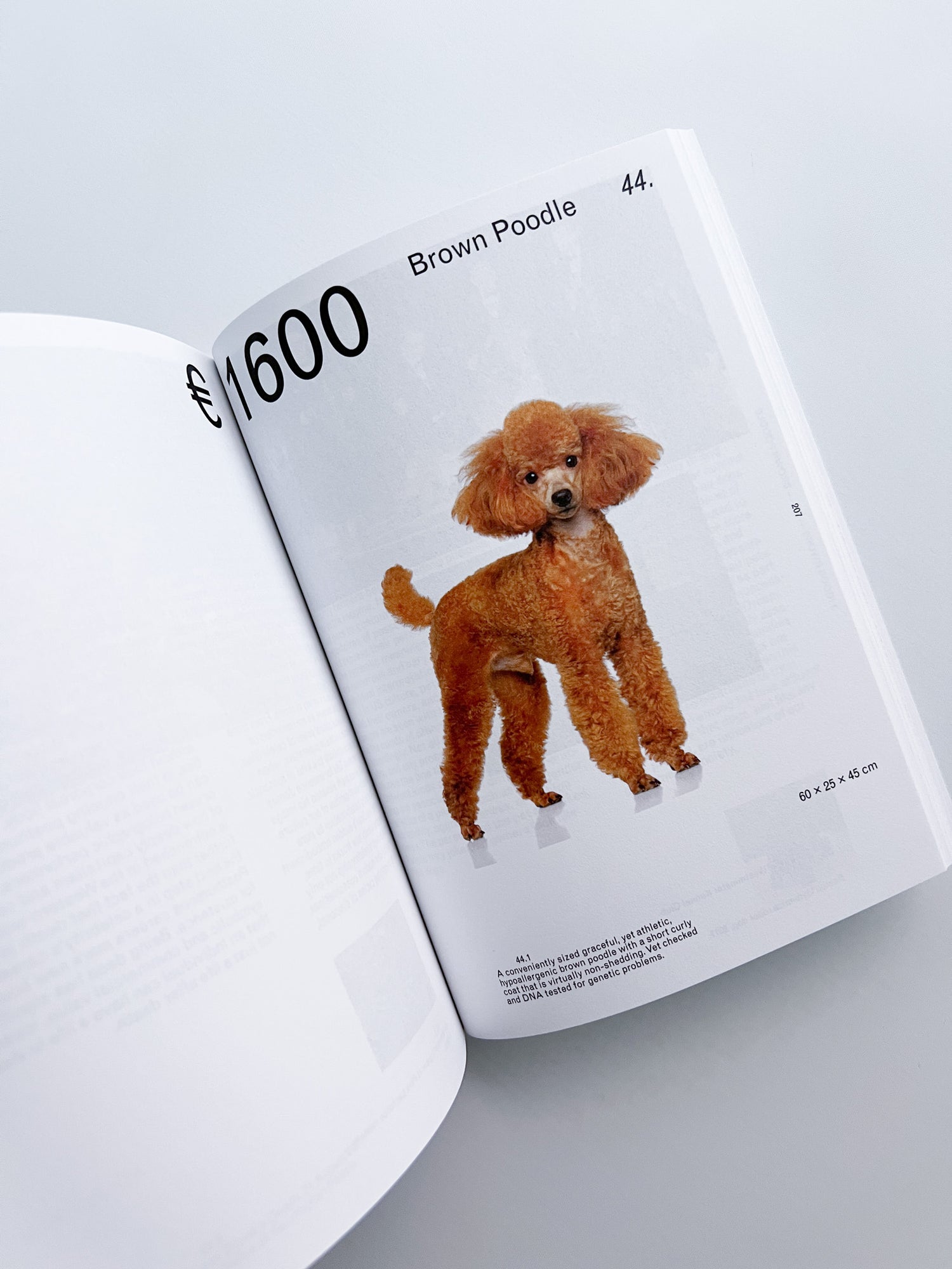 OBJECT-ORIENTED IDENTITY: CULTURAL BELONGINGS FROM OUR RECENT PAST / Zsofia Kollar [SECOND REVISED EDITION]