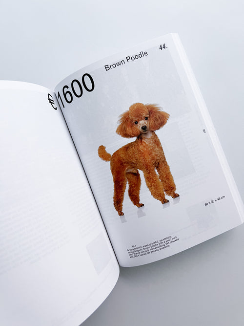 OBJECT-ORIENTED IDENTITY: CULTURAL BELONGINGS FROM OUR RECENT PAST / Zsofia Kollar [SECOND REVISED EDITION]