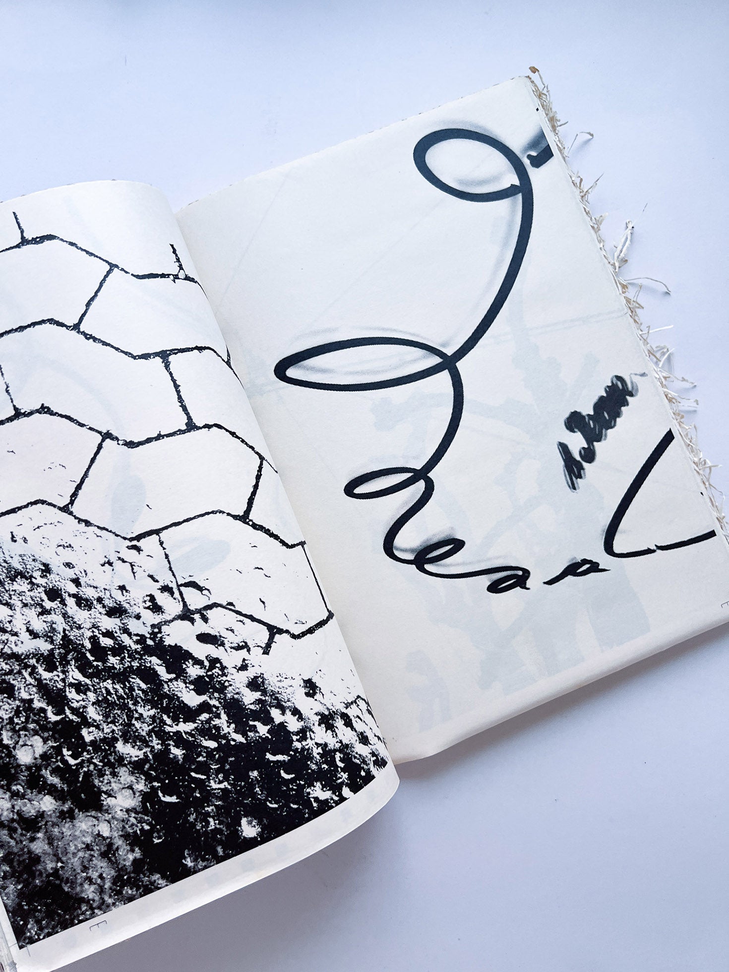 WERK No.11 / GUERRILLAZINE No.2: Bastardized in collaboration with COMME des Garçons Guerrilla Stores (2005)