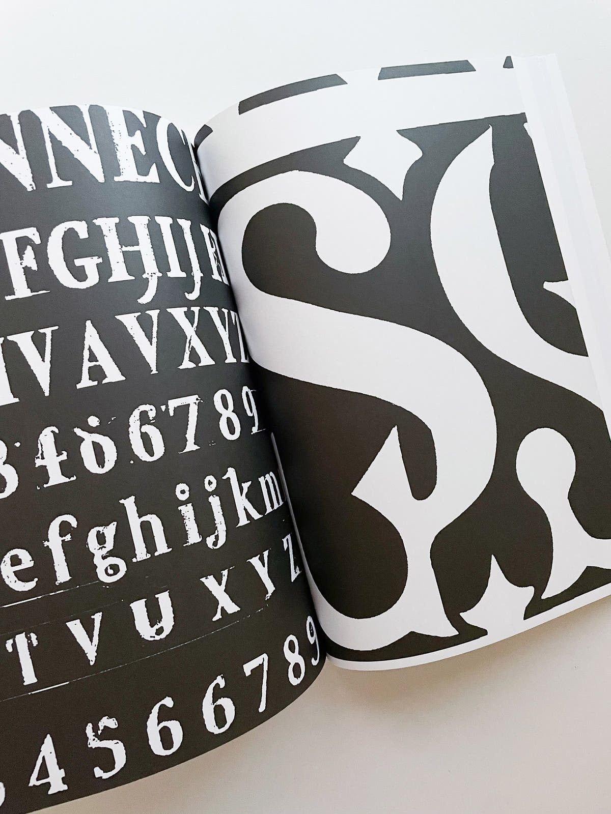Archeology of Consequent Forms (includes Font License) / Orlando Brunner