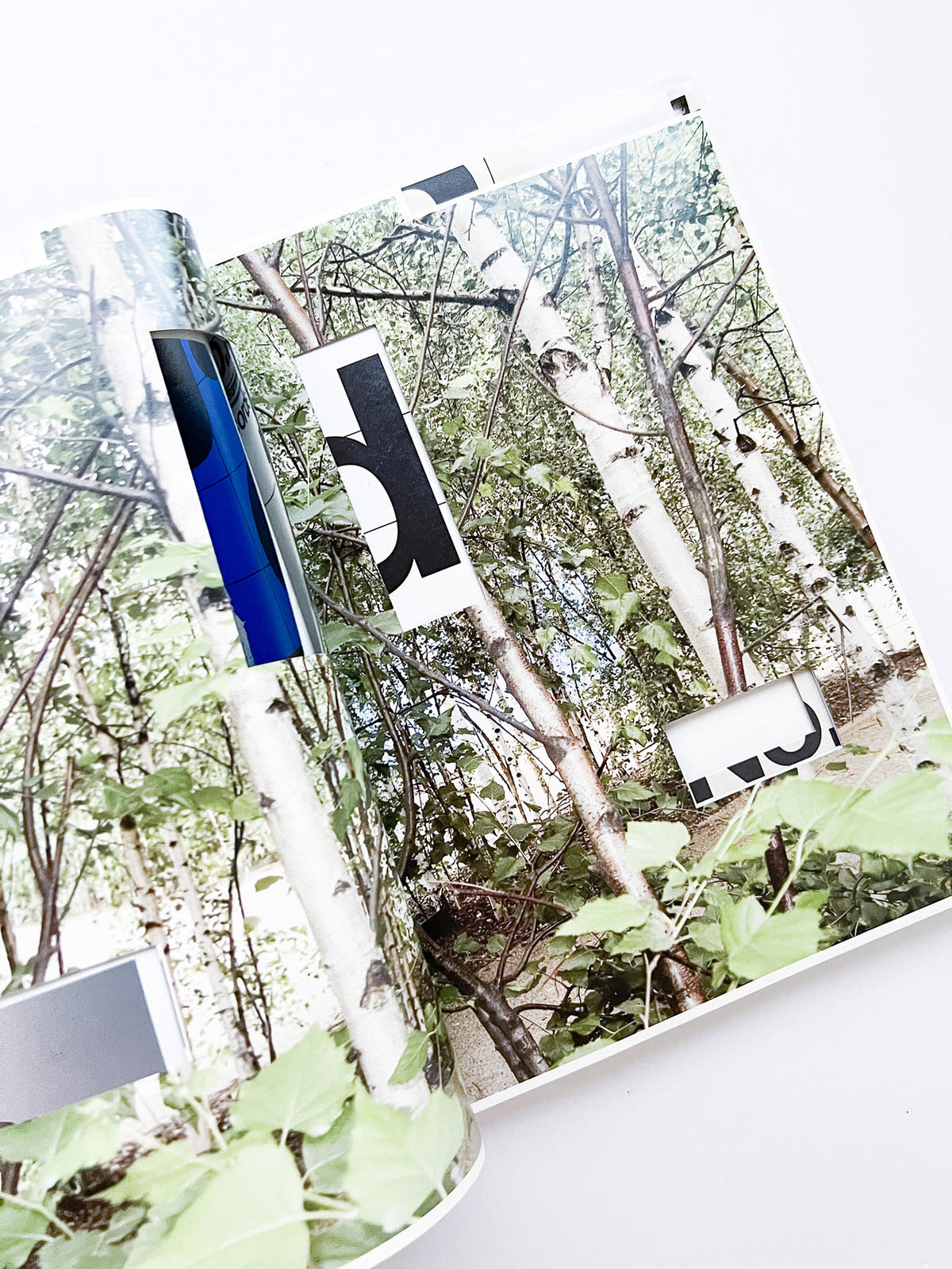 WERK No.13: Jan de Cock recorded and photographed by Kirby Koh (2006)
