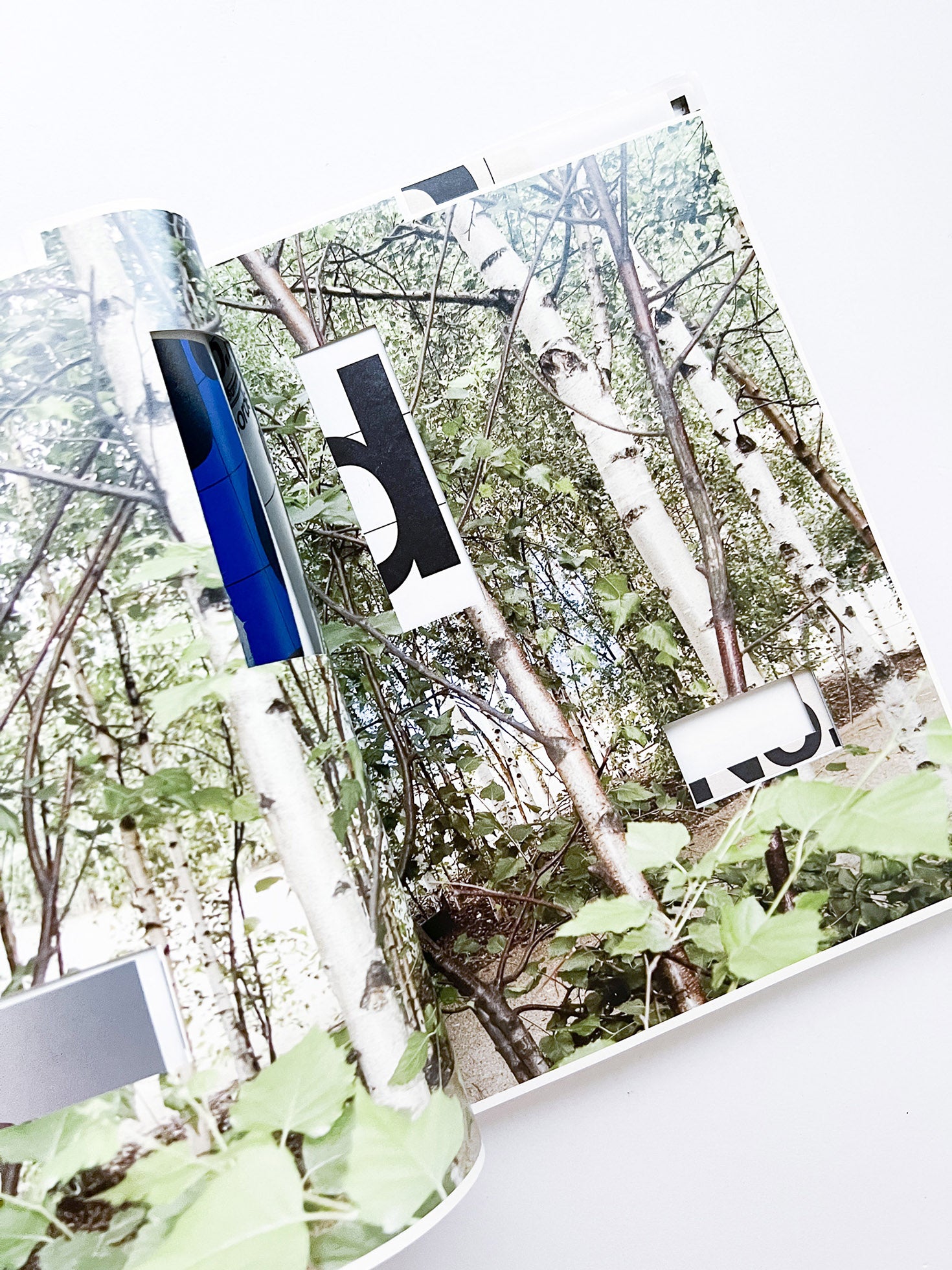 WERK No.13: Jan de Cock recorded and photographed by Kirby Koh (2006)