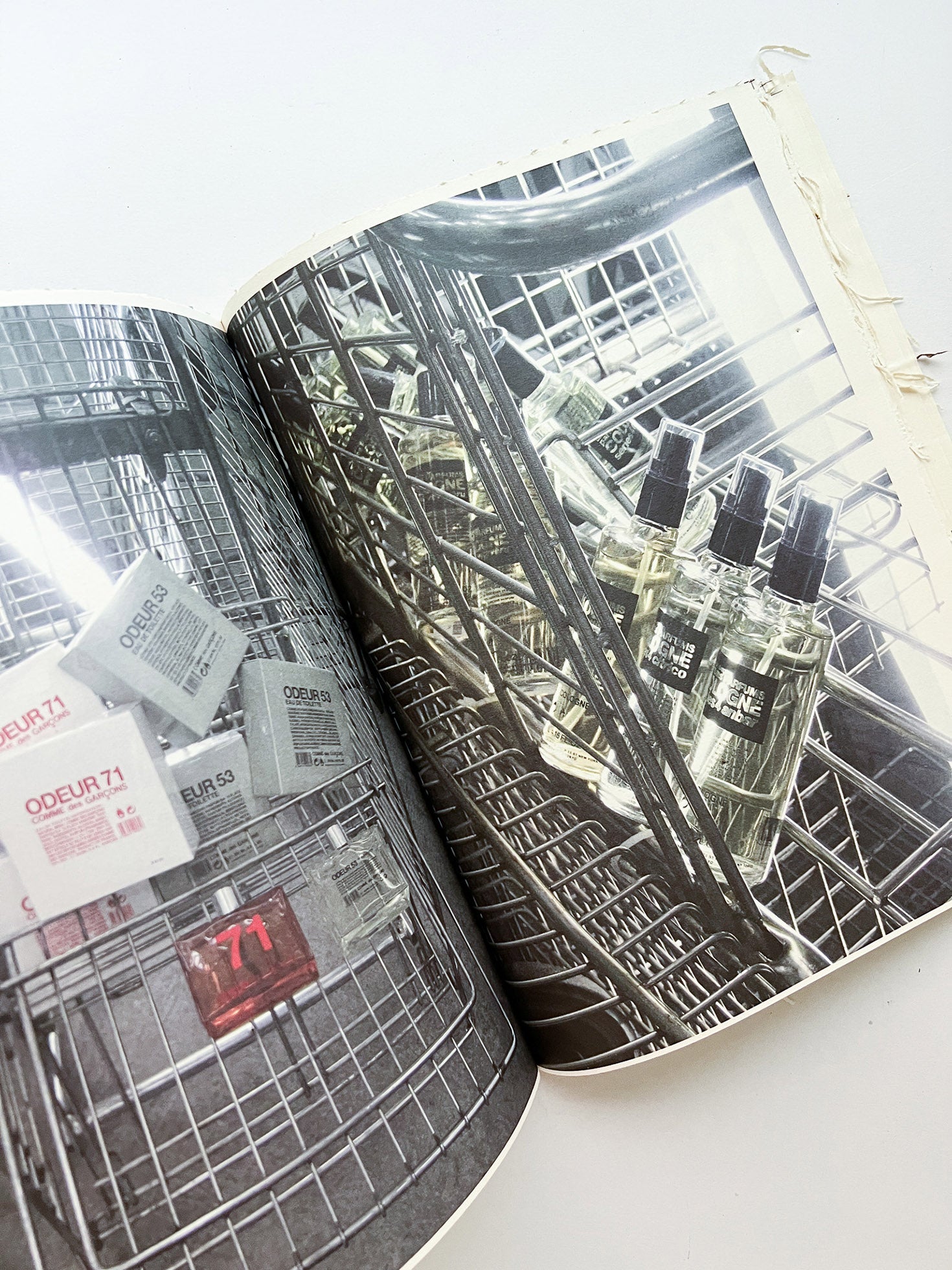 GUERRILLAZINE No.6: Ideas For Corporate Salvation (2009) - 本屋青