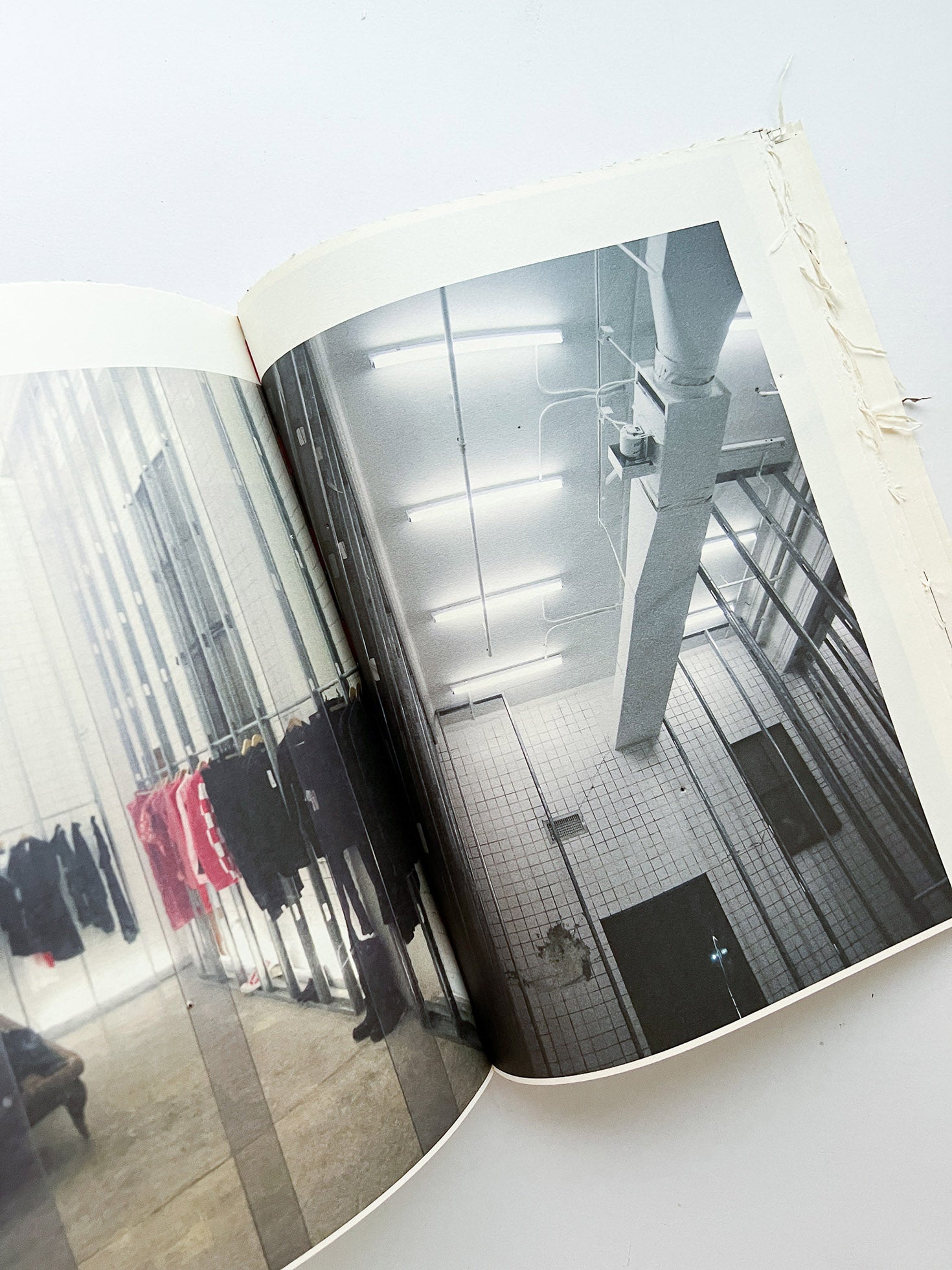 GUERRILLAZINE No.6: Ideas For Corporate Salvation (2009) - 本屋青