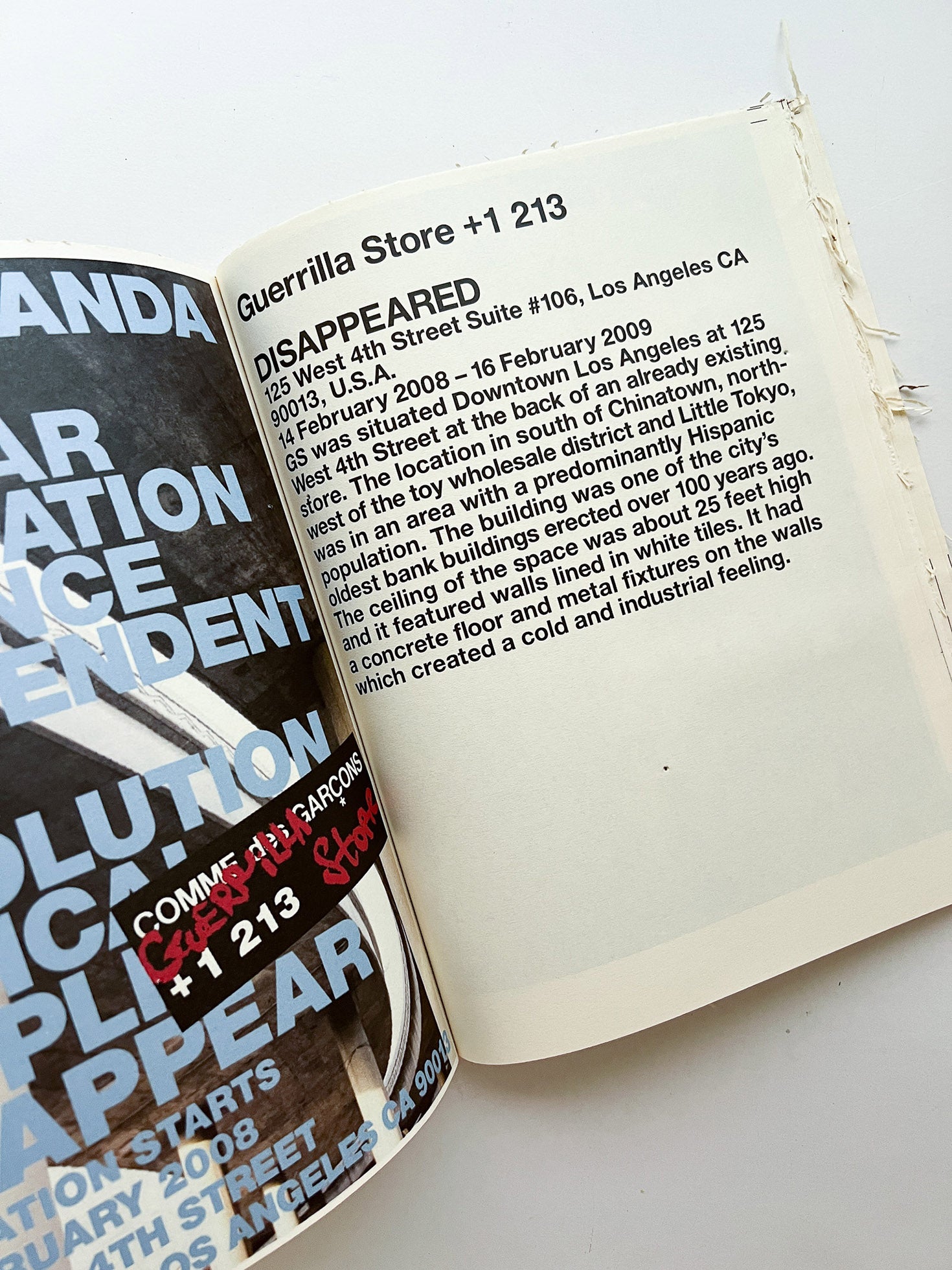 GUERRILLAZINE No.6: Ideas For Corporate Salvation (2009)