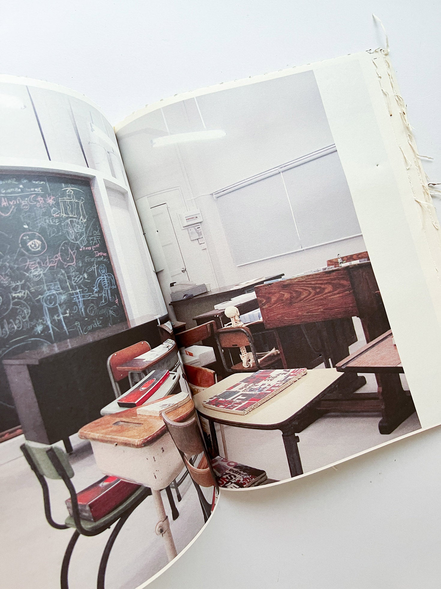 GUERRILLAZINE No.6: Ideas For Corporate Salvation (2009)