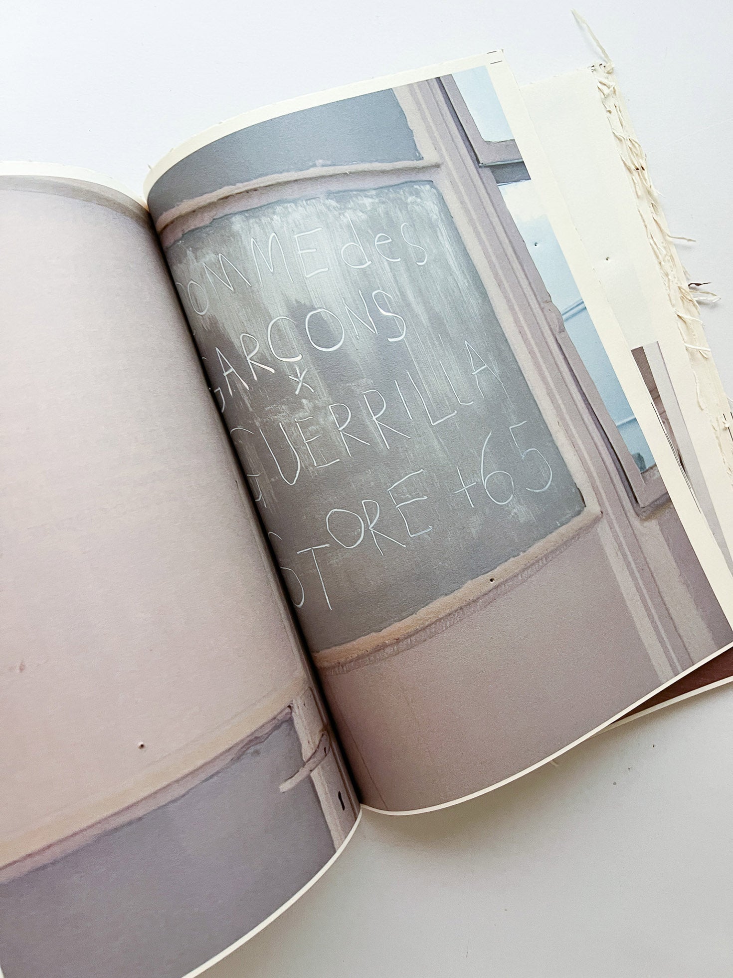 GUERRILLAZINE No.6: Ideas For Corporate Salvation (2009) - 本屋青