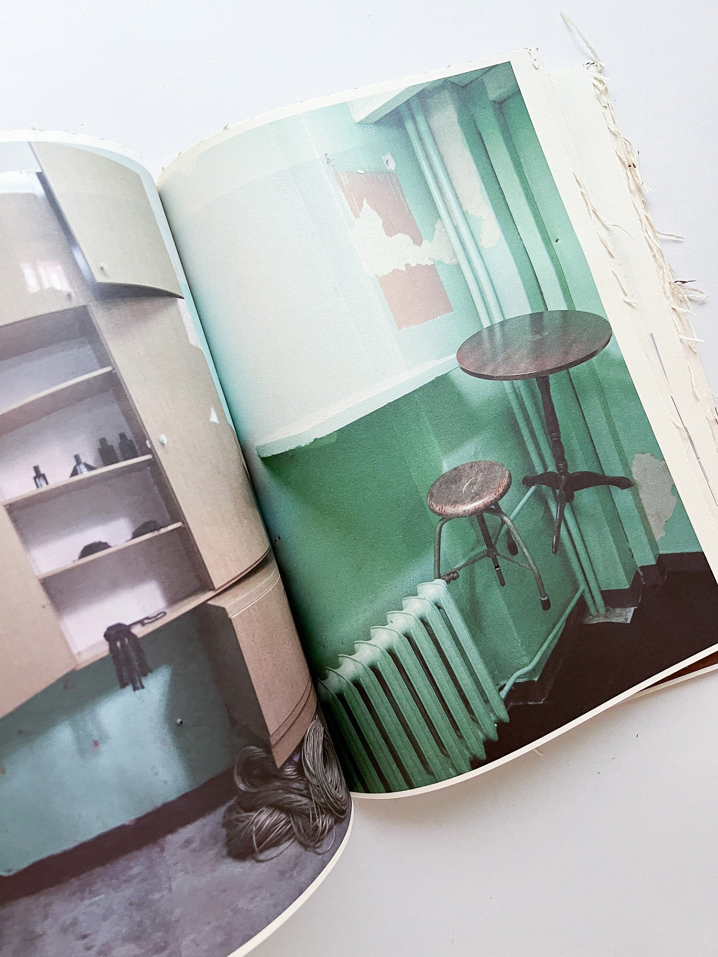 GUERRILLAZINE No.6: Ideas For Corporate Salvation (2009)