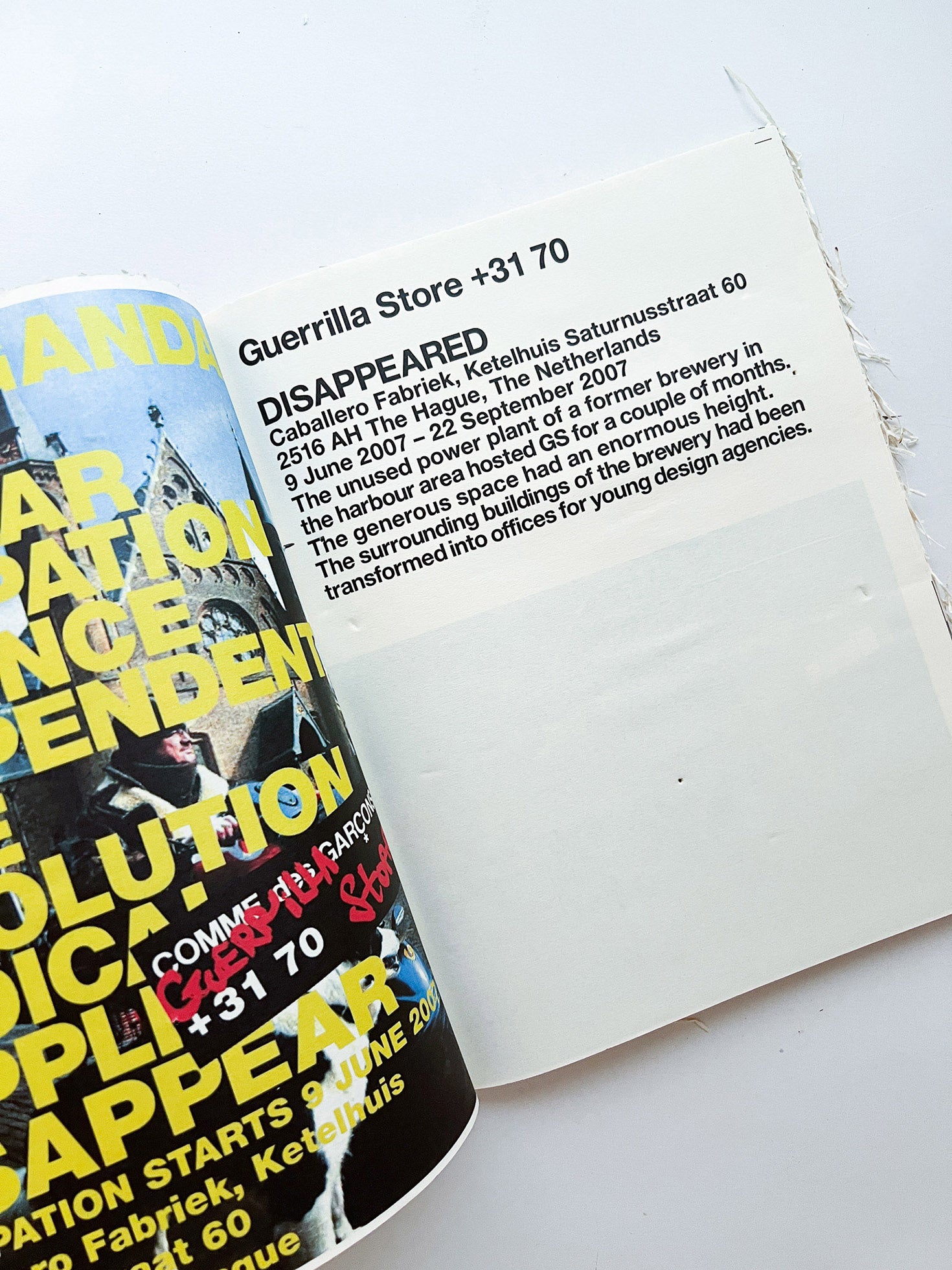 GUERRILLAZINE No.6: Ideas For Corporate Salvation (2009) - 本屋青