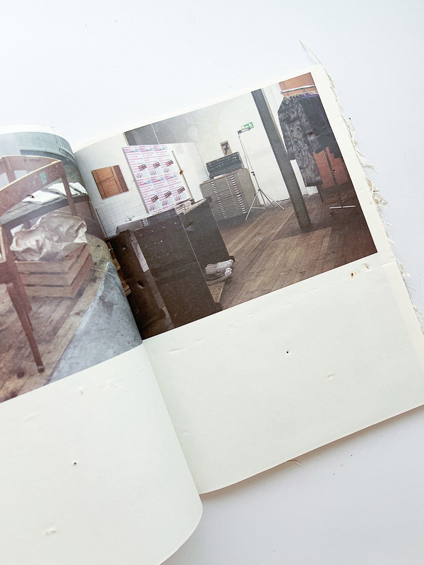 GUERRILLAZINE No.6: Ideas For Corporate Salvation (2009) - 本屋青