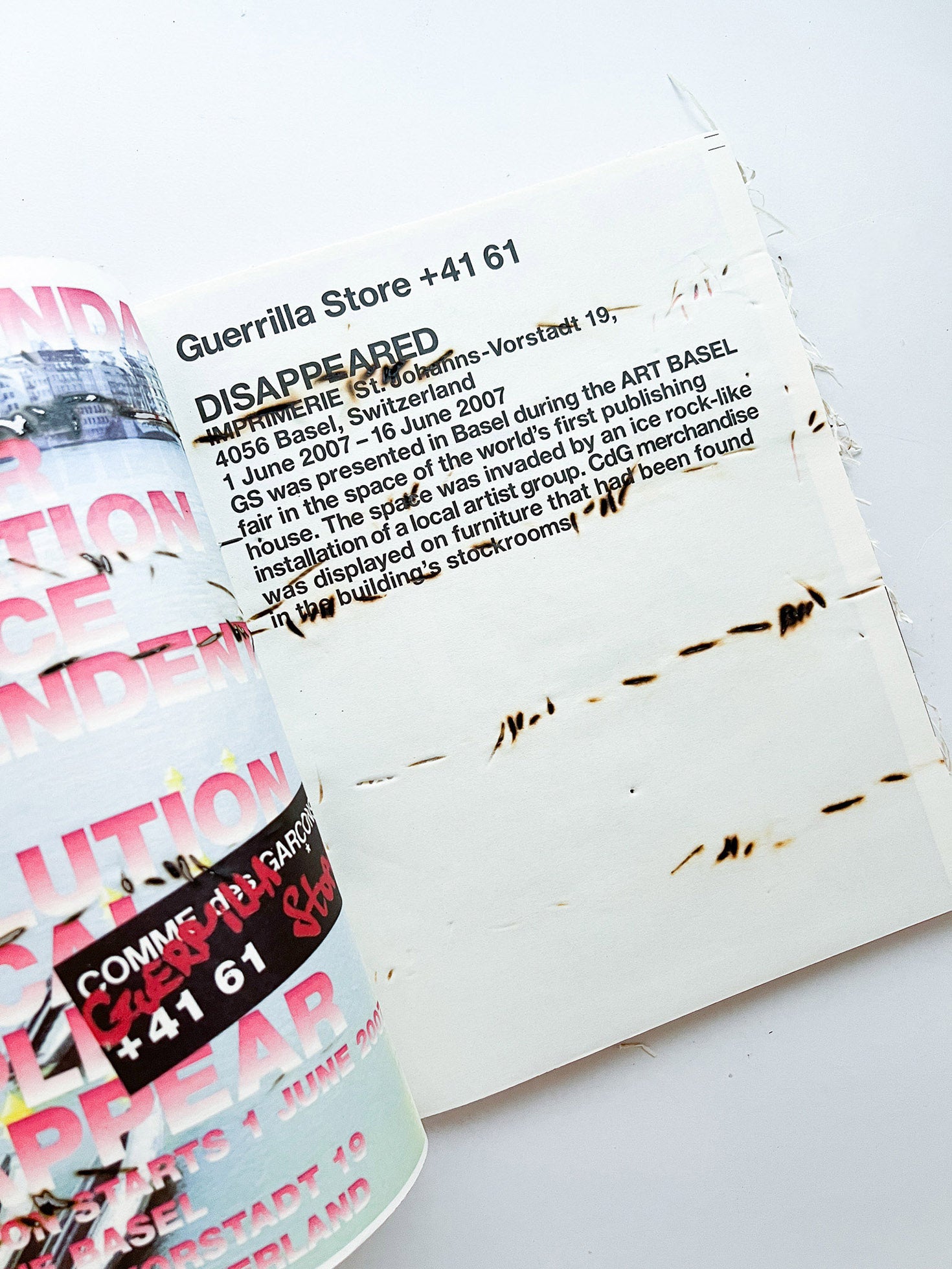 GUERRILLAZINE No.6: Ideas For Corporate Salvation (2009) - 本屋青