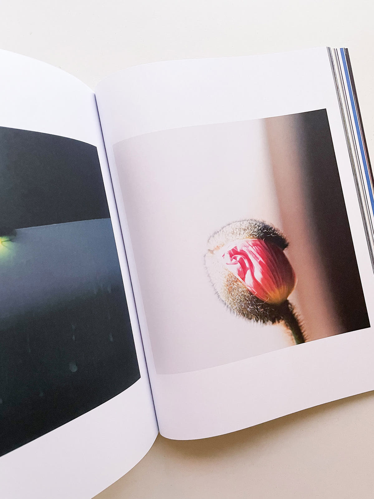 EPOCH ISSUE 03 COVER: DANIEL SHEA & OMAIMA SALEM