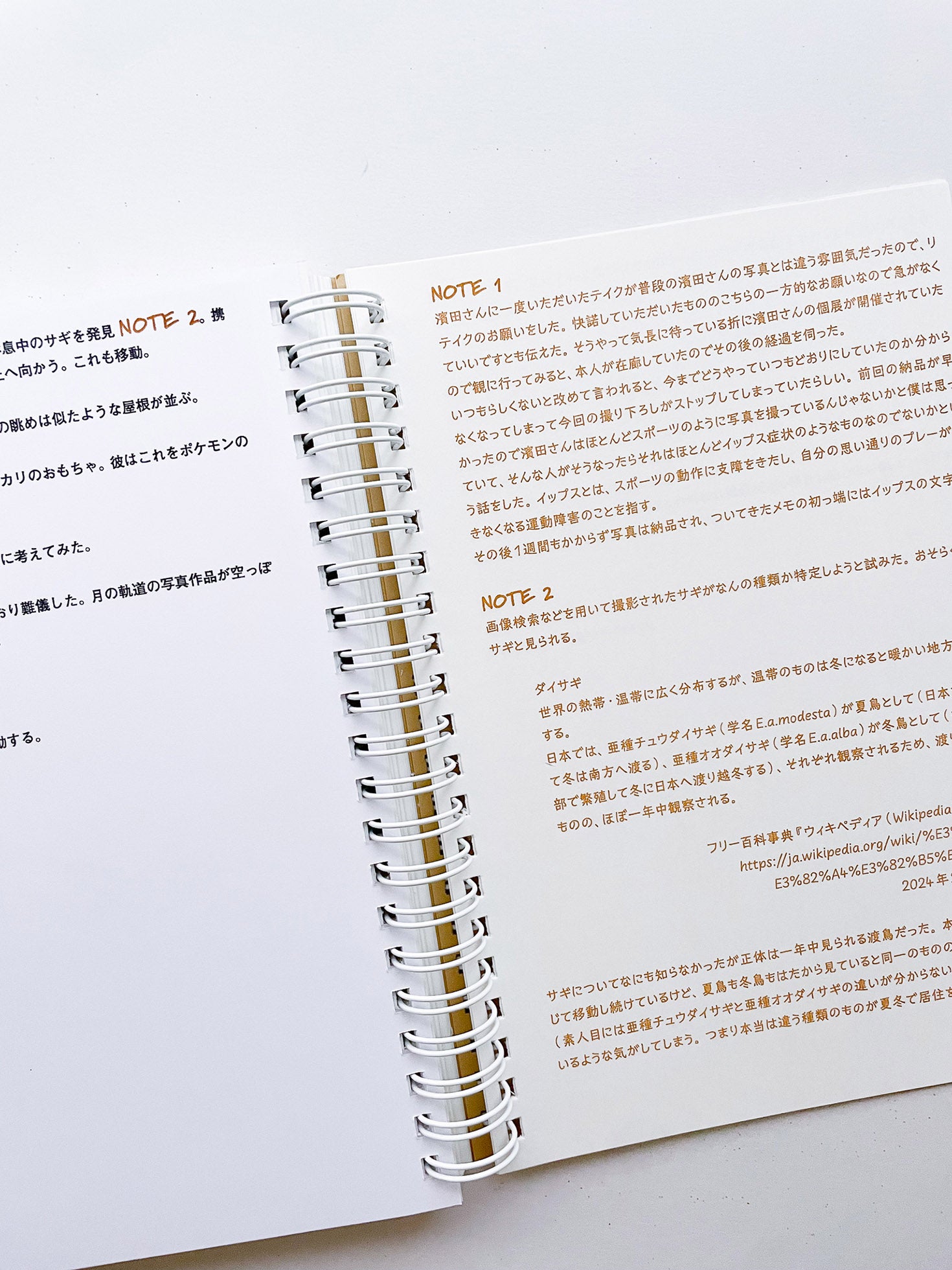 ノーツ 第二号 「引越し」 / 井上岳＋齋藤直紀＋石毛健太