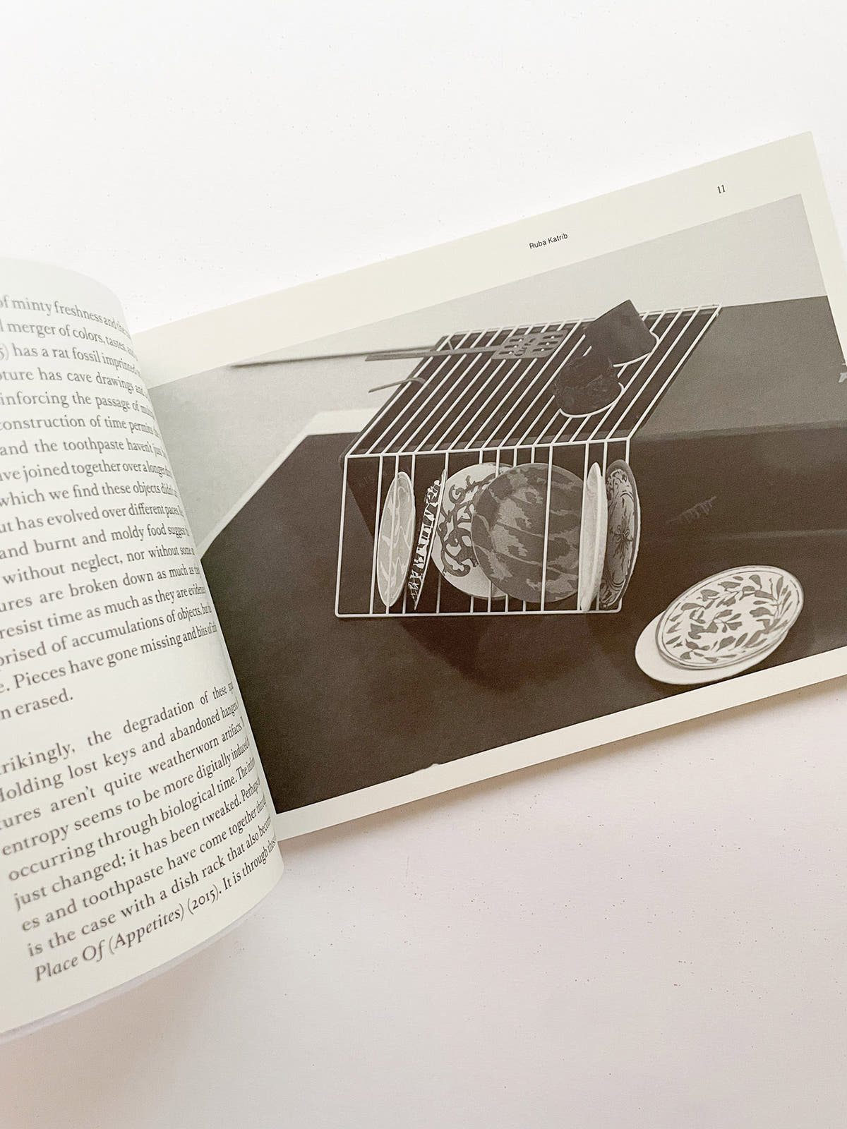 SPRING FOR A GROUND / PARTICLE OF INCH / HALTED PAVES / QUARTERS / Magali Reus