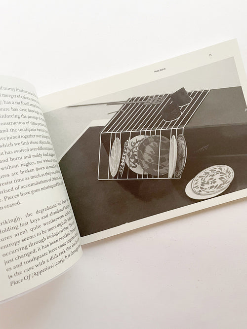 SPRING FOR A GROUND / PARTICLE OF INCH / HALTED PAVES / QUARTERS / Magali Reus