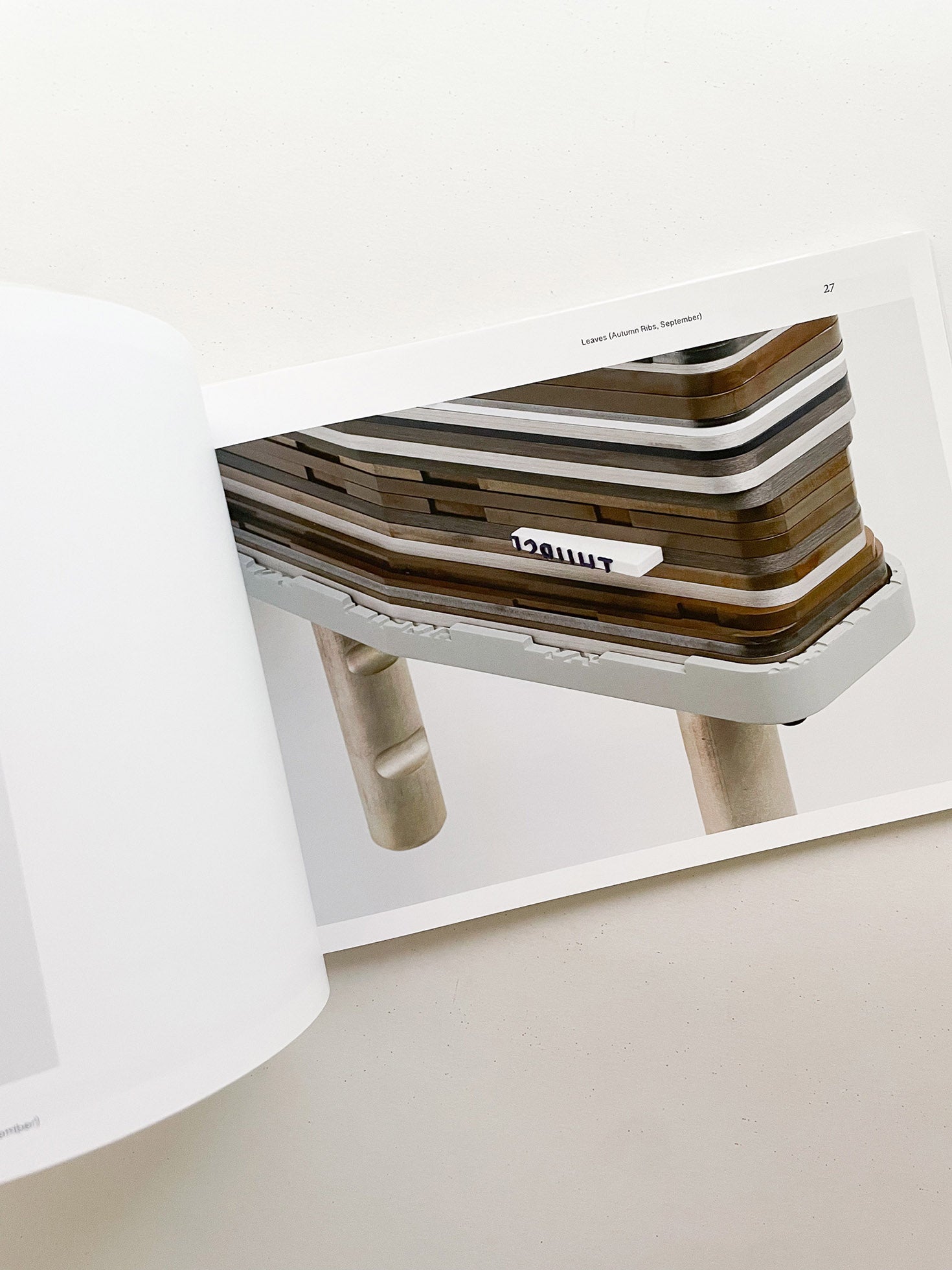 SPRING FOR A GROUND / PARTICLE OF INCH / HALTED PAVES / QUARTERS / Magali Reus