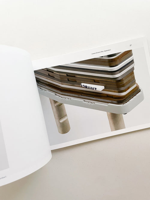 SPRING FOR A GROUND / PARTICLE OF INCH / HALTED PAVES / QUARTERS / Magali Reus