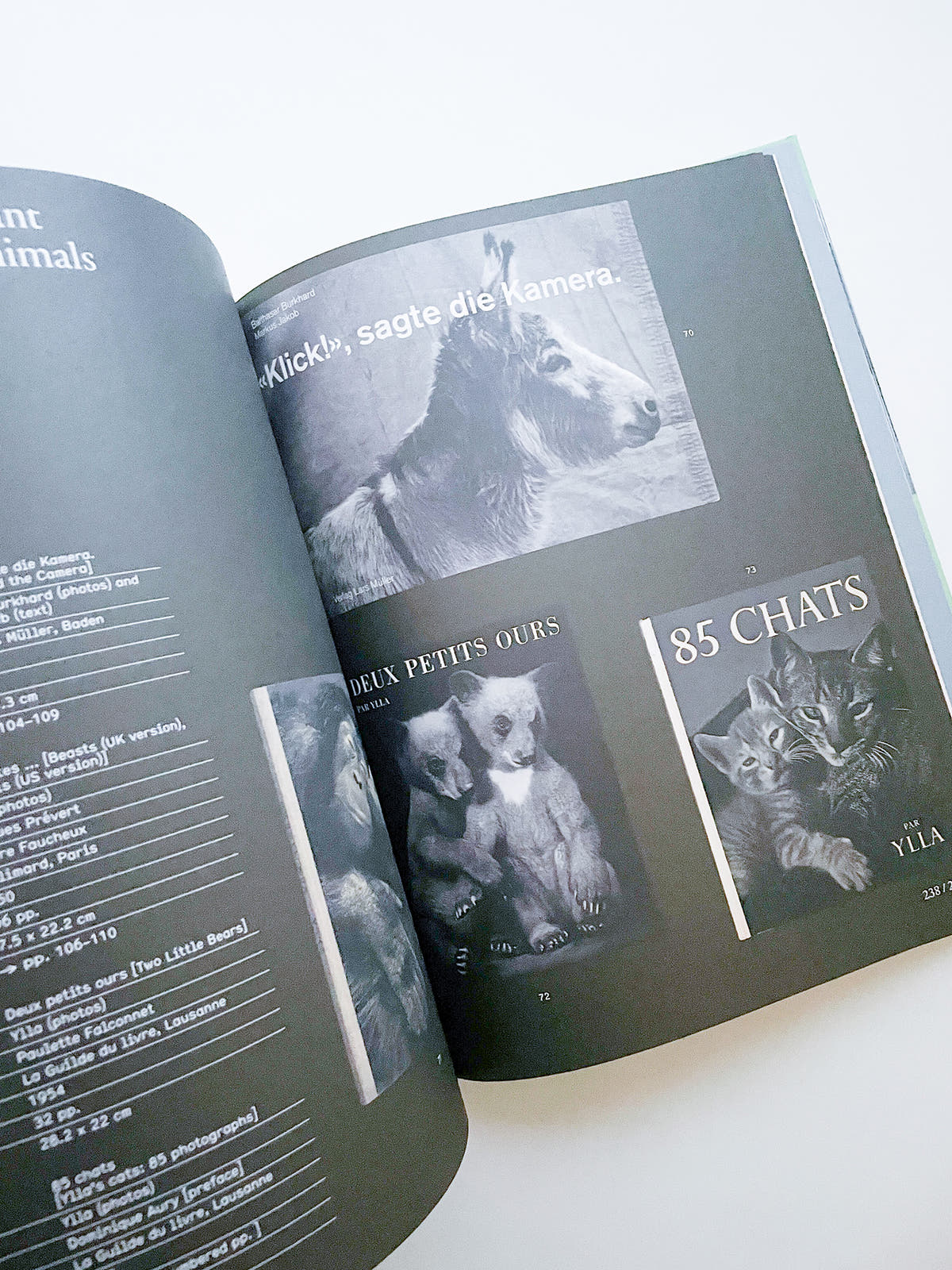 L IS FOR LOOK - CHILDREN’S PHOTOBOOKS