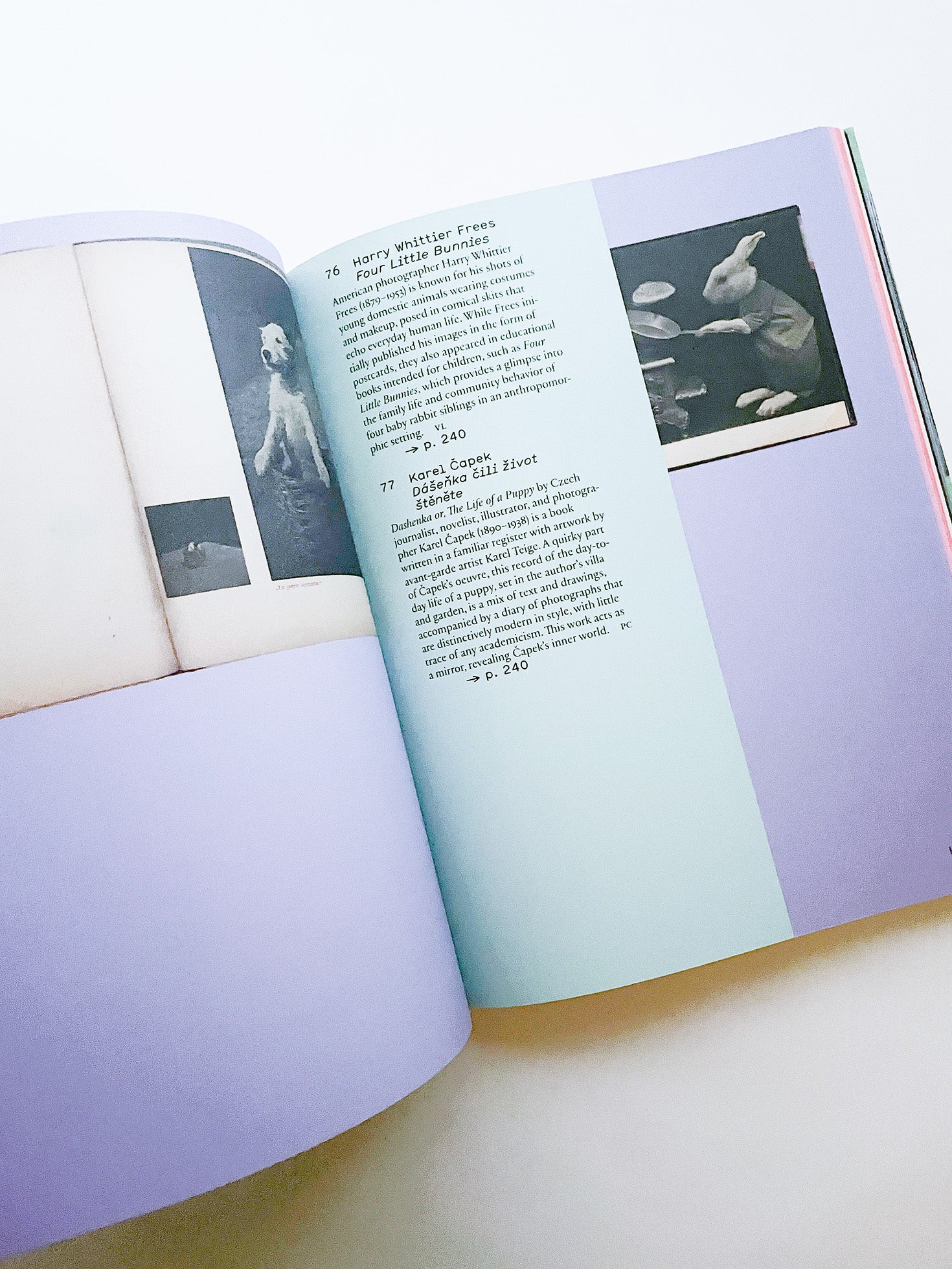 L IS FOR LOOK - CHILDREN’S PHOTOBOOKS