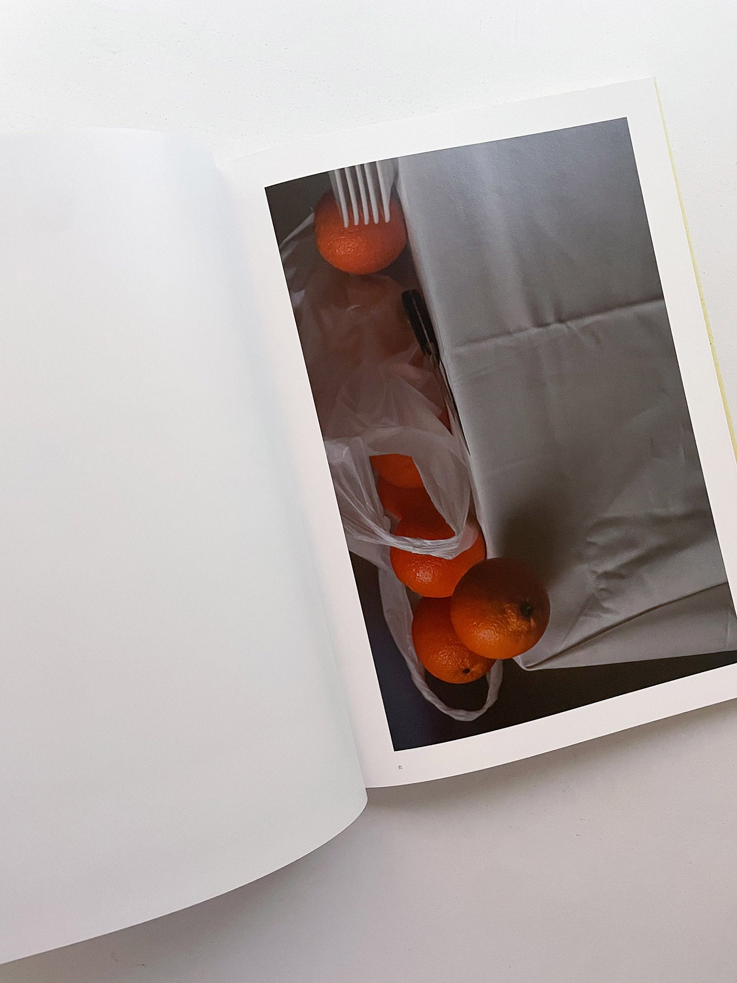 Book2 / System of Culture - 本屋青旗 Ao-Hata Bookstore