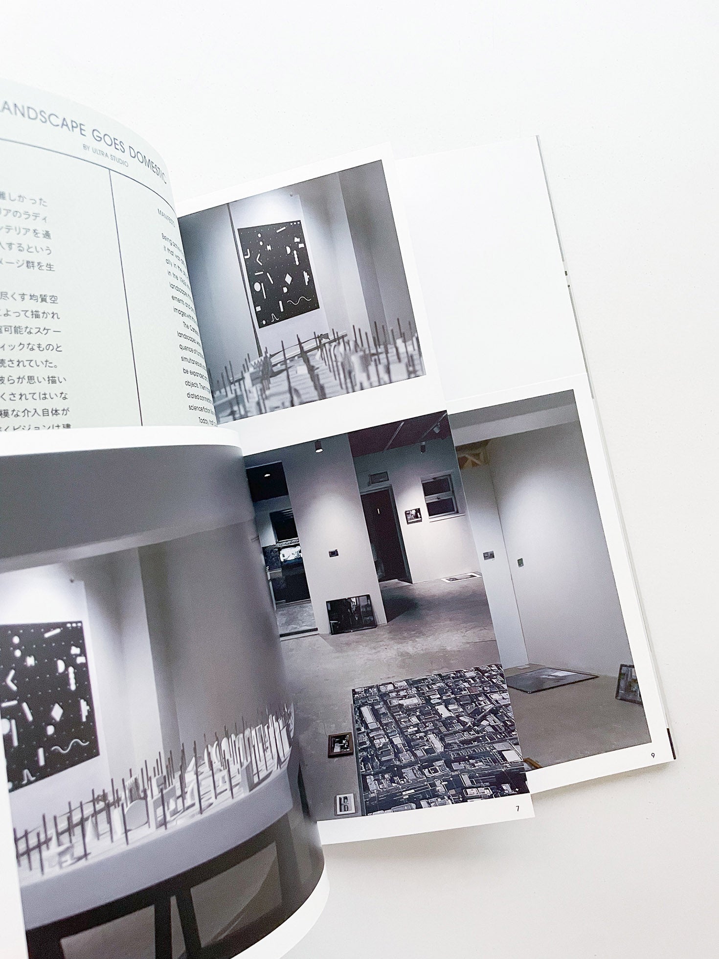 LANDSCAPE GOES DOMESTIC / ULTRA STUDIO