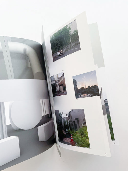 LANDSCAPE GOES DOMESTIC / ULTRA STUDIO