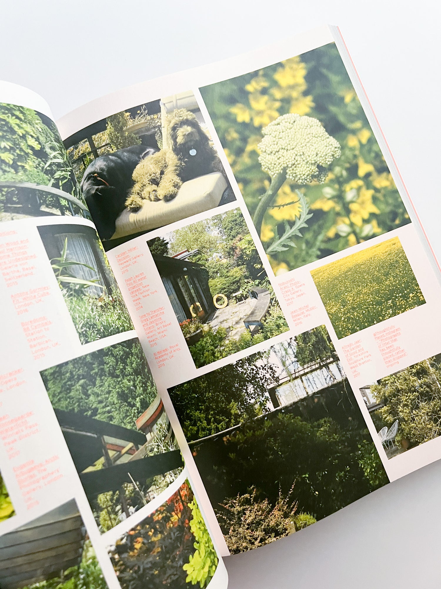 What is Universal Everything?