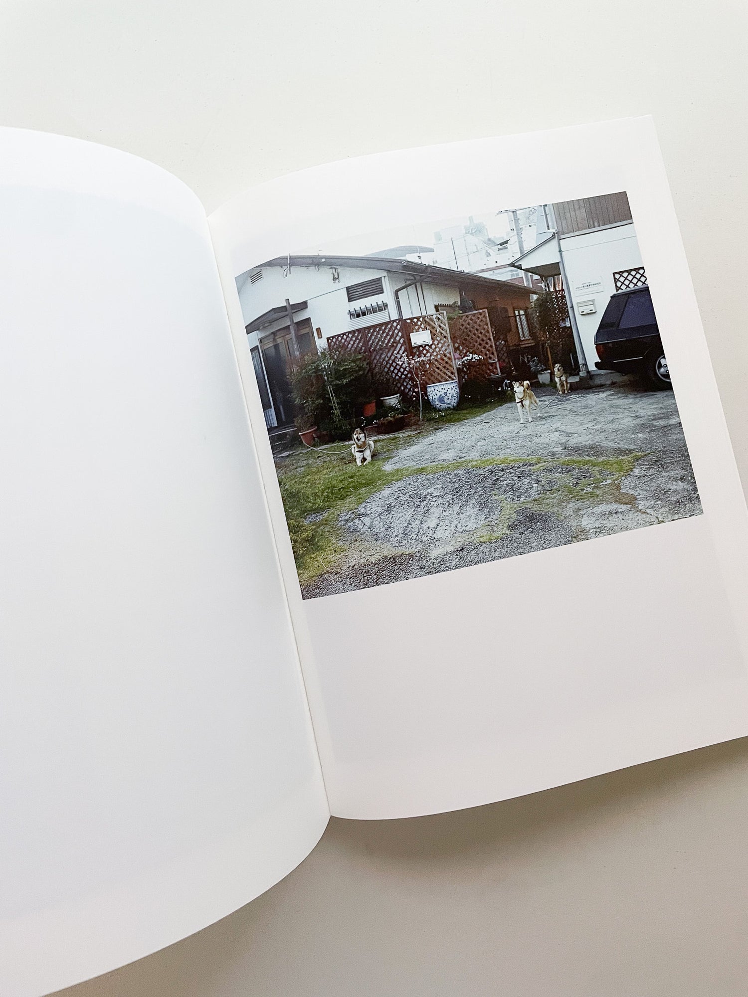 REMIND / Sodai Yokoyama