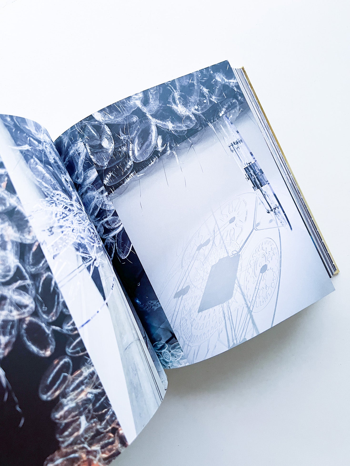 VOICES / Philippe Parreno